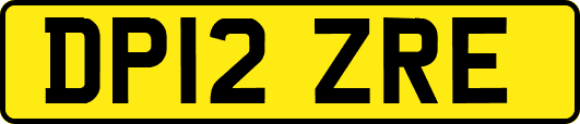DP12ZRE