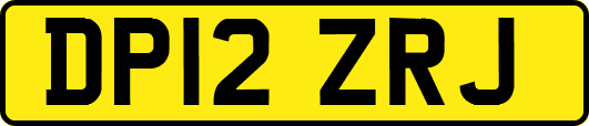 DP12ZRJ
