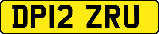 DP12ZRU