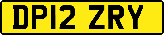 DP12ZRY
