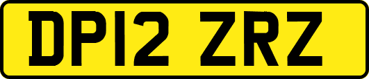 DP12ZRZ
