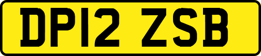 DP12ZSB