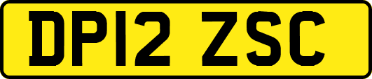 DP12ZSC