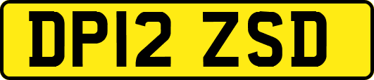 DP12ZSD