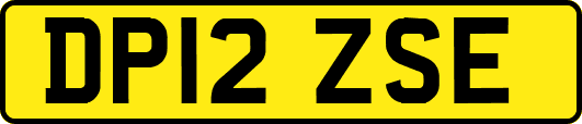 DP12ZSE