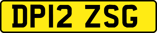DP12ZSG