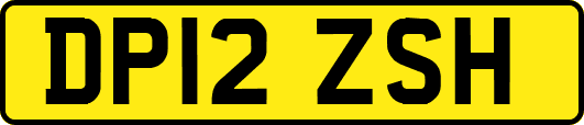 DP12ZSH