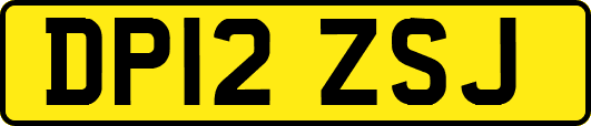 DP12ZSJ