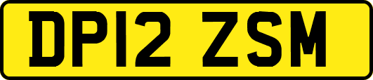 DP12ZSM