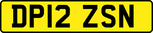 DP12ZSN