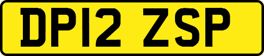 DP12ZSP