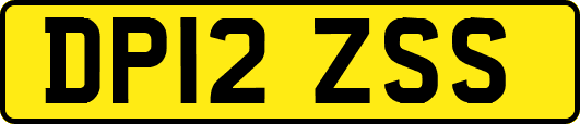 DP12ZSS