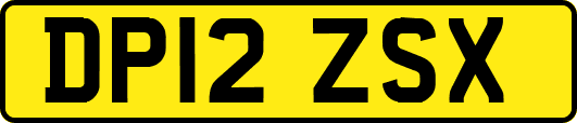 DP12ZSX