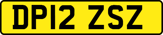 DP12ZSZ