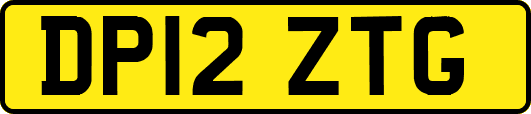 DP12ZTG