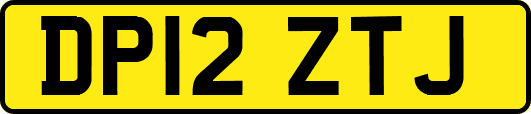 DP12ZTJ
