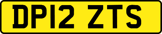 DP12ZTS