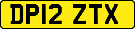 DP12ZTX