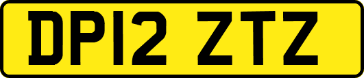DP12ZTZ