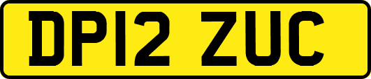 DP12ZUC