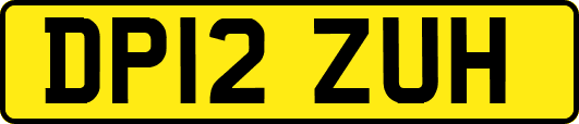 DP12ZUH