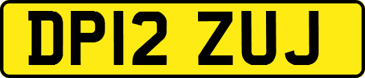 DP12ZUJ
