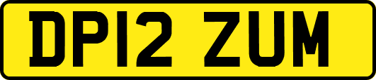 DP12ZUM