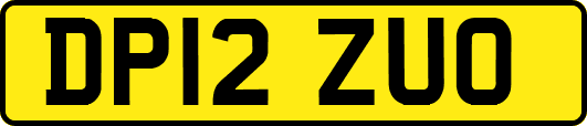 DP12ZUO