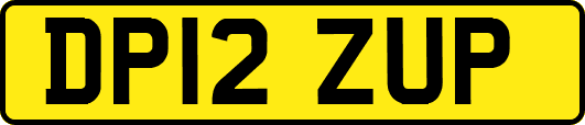 DP12ZUP