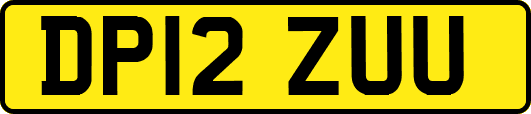 DP12ZUU