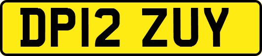 DP12ZUY