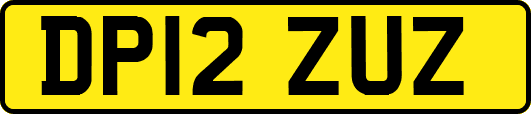 DP12ZUZ