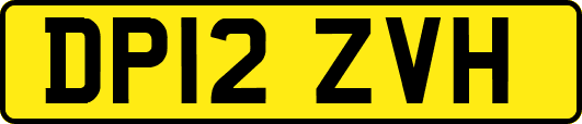 DP12ZVH