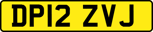 DP12ZVJ