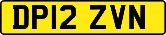 DP12ZVN