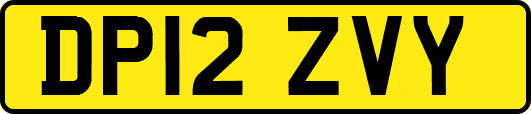 DP12ZVY