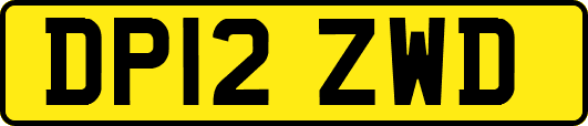 DP12ZWD