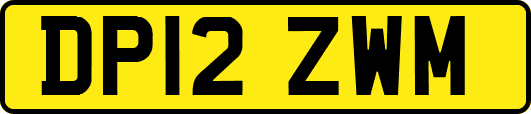 DP12ZWM