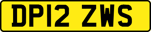 DP12ZWS