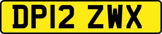 DP12ZWX