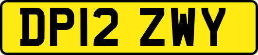 DP12ZWY