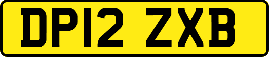 DP12ZXB