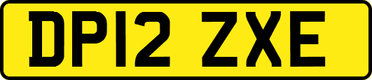 DP12ZXE