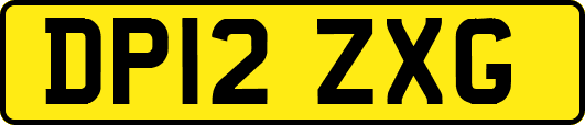 DP12ZXG