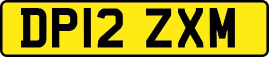 DP12ZXM
