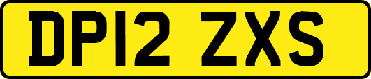 DP12ZXS