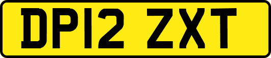 DP12ZXT