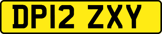 DP12ZXY