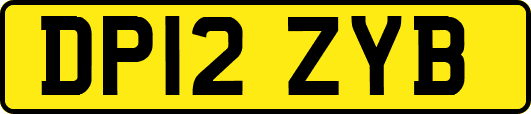 DP12ZYB