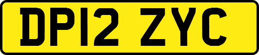 DP12ZYC